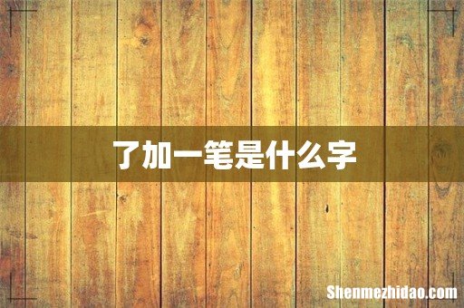了加一笔是什么字