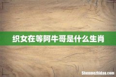 织女在等阿牛哥是什么生肖