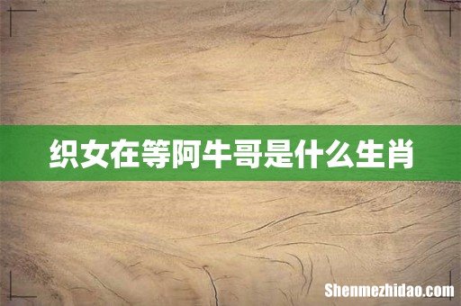 织女在等阿牛哥是什么生肖