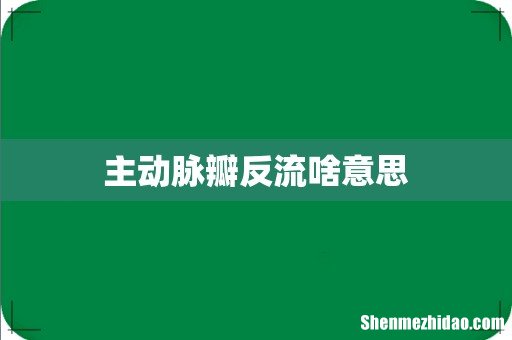 主动脉瓣反流啥意思