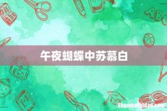午夜蝴蝶中苏慕白