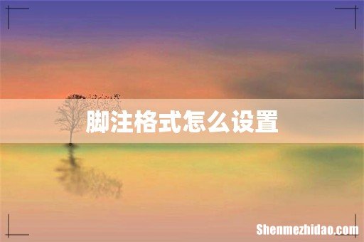 脚注格式怎么设置