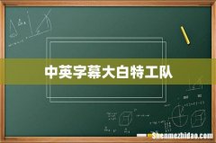 中英字幕大白特工队