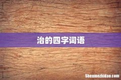 治的四字词语