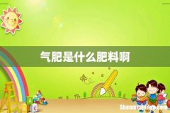 气肥是什么肥料啊