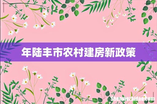 年陆丰市农村建房新政策