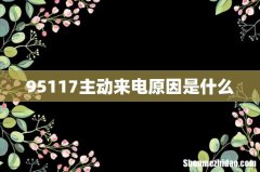 95117主动来电原因是什么