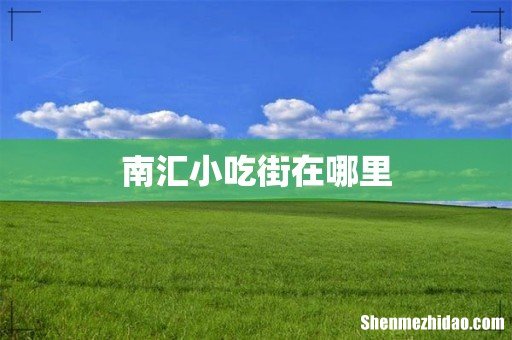 南汇小吃街在哪里