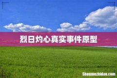 烈日灼心真实事件原型