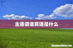 主语谓语宾语是什么