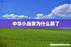 中华小当家为什么禁了