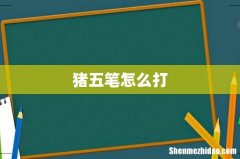 猪五笔怎么打