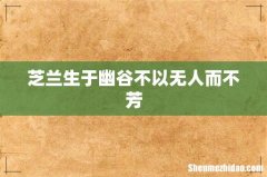 芝兰生于幽谷不以无人而不芳