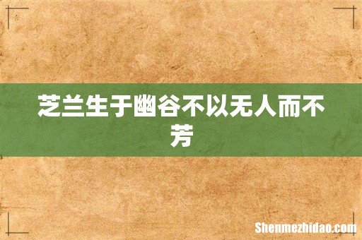 芝兰生于幽谷不以无人而不芳
