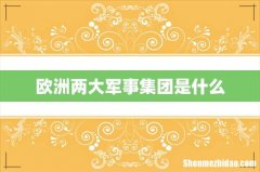 欧洲两大军事集团是什么