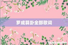 罗成算卦全部歌词