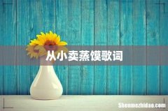 从小卖蒸馍歌词