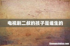 电视剧二叔的孩子是谁生的