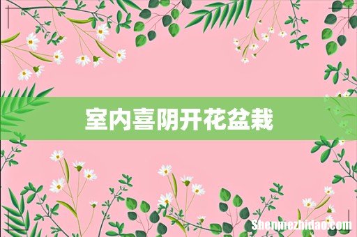 室内喜阴开花盆栽