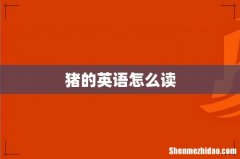 猪的英语怎么读