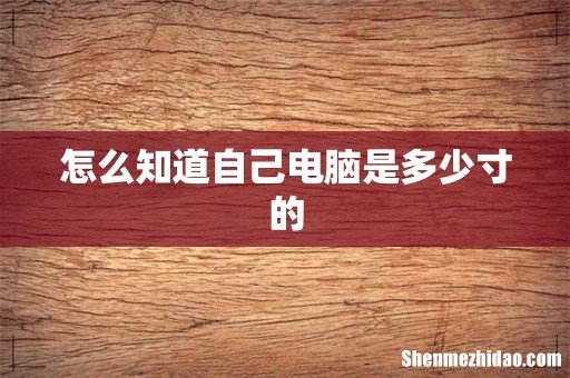 怎么知道自己电脑是多少寸的