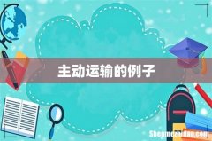主动运输的例子