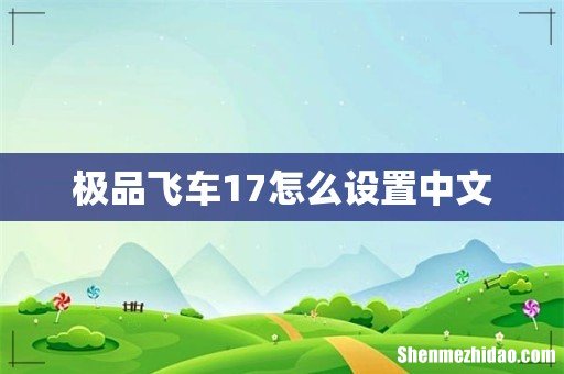 极品飞车17怎么设置中文