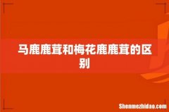 马鹿鹿茸和梅花鹿鹿茸的区别