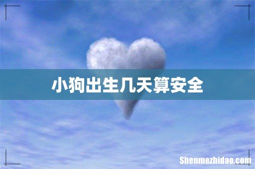 小狗出生几天算安全