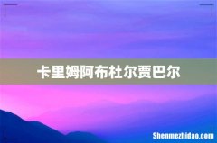 卡里姆阿布杜尔贾巴尔