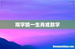 观字猜一生肖或数字