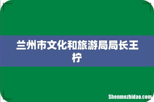 兰州市文化和旅游局局长王柠