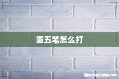 重五笔怎么打