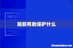 脂肪有助保护什么