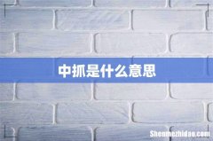 中抓是什么意思