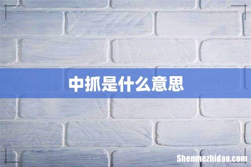 中抓是什么意思