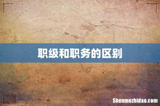 职级和职务的区别