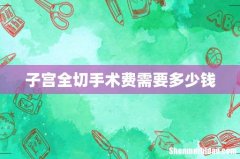 子宫全切手术费需要多少钱