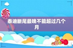泰迪断尾最晚不能超过几个月
