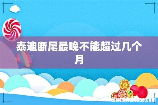 泰迪断尾最晚不能超过几个月