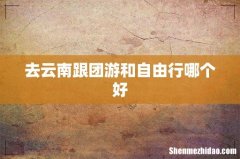 去云南跟团游和自由行哪个好