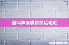 猫叫声很凄惨然后呕吐