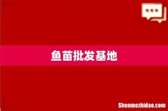 鱼苗批发基地