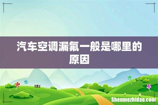 汽车空调漏氟一般是哪里的原因