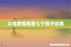 父母爱情原著七个孩子结局