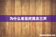 为什么老是把龚念三声