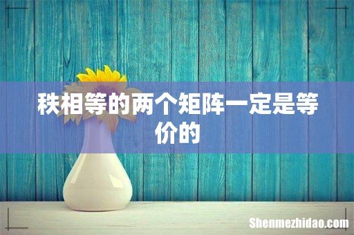 秩相等的两个矩阵一定是等价的