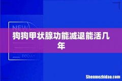 狗狗甲状腺功能减退能活几年