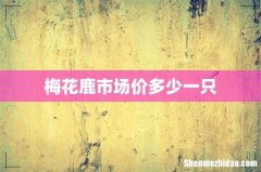 梅花鹿市场价多少一只
