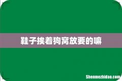 鞋子挨着狗窝放要的嘛